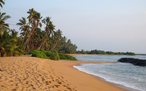 Your itinerary in detail