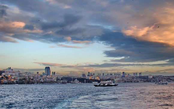 Your Optional Activities