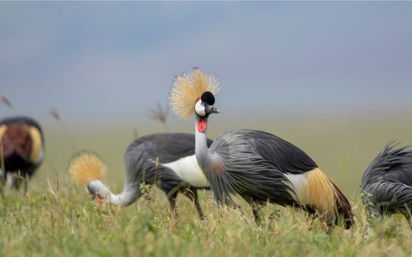 Your itinerary in detail