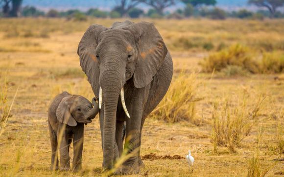 Your itinerary in detail