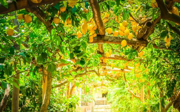 Your itinerary in brief