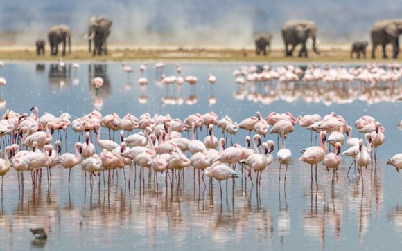 Your itinerary in detail