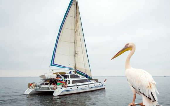 Your Optional Excursions 