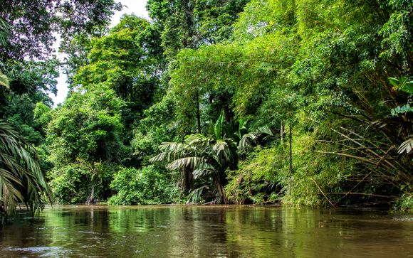 Your itinerary in detail