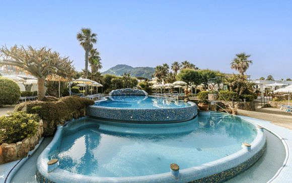 Your hotels