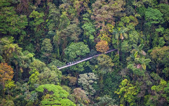 Your itinerary in detail