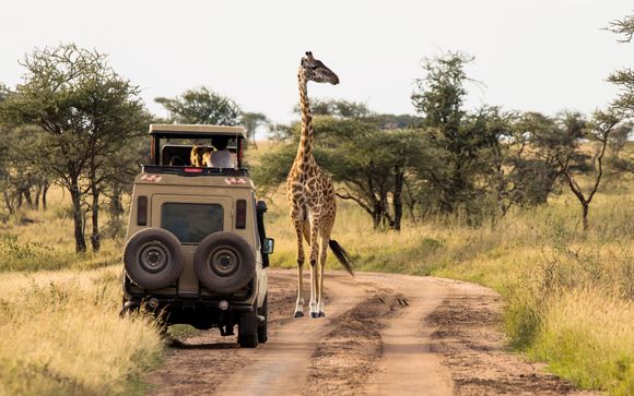 Your itinerary in detail