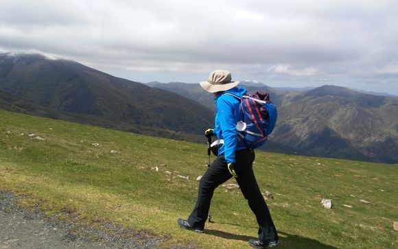 Your itinerary in detail