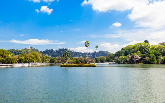 Your itinerary in detail