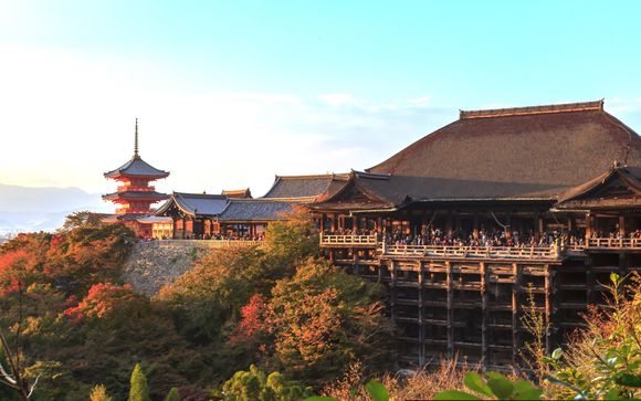 Your itinerary in detail