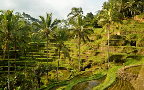 Your itinerary in brief 