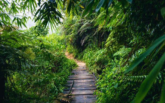 Included excursions & extras