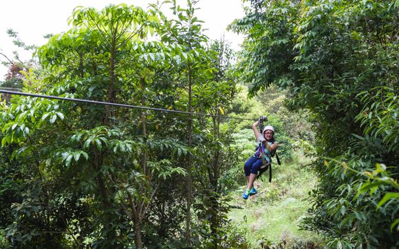 Your optional excursions