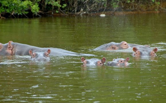 Your itinerary in detail