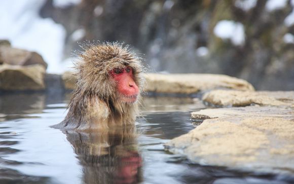 Your itinerary in detail