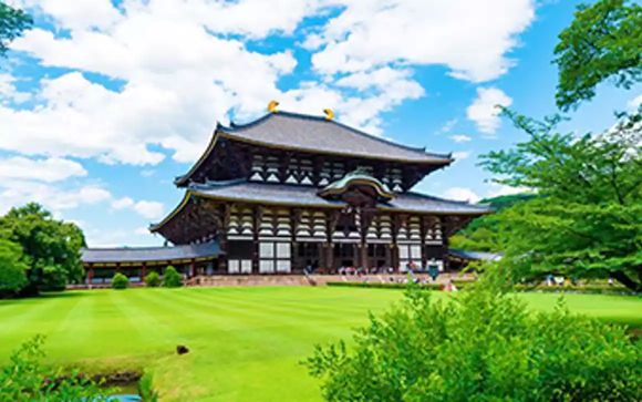 Your optional excursions & extras