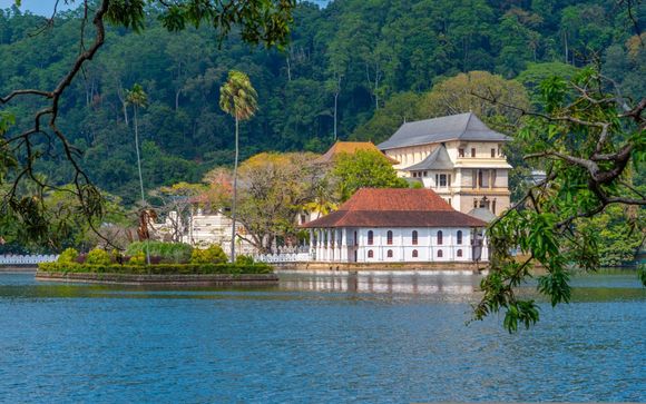 Your itinerary in detail