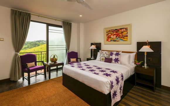 Your hotels