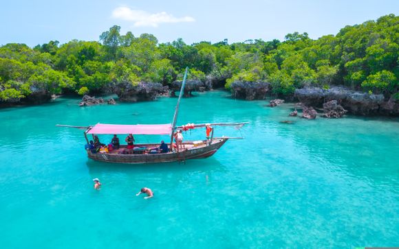 Your optional services