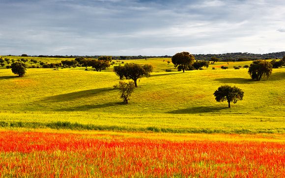 Destination...Portugal