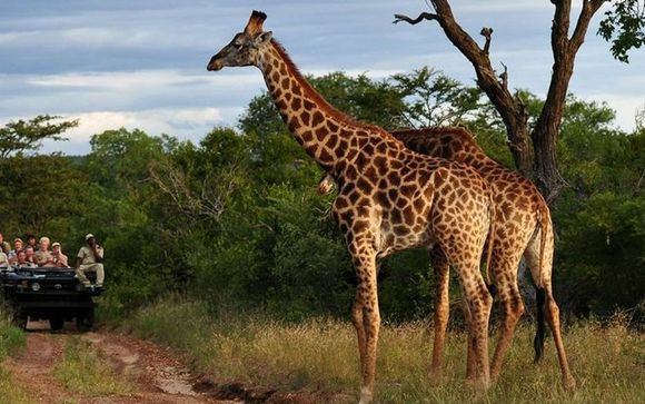 Pinewood Beach Resort 4* & Safari