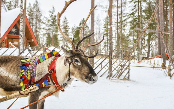 Finnish Lapland: Arctic Circle, Snow Safaris and Santa Village