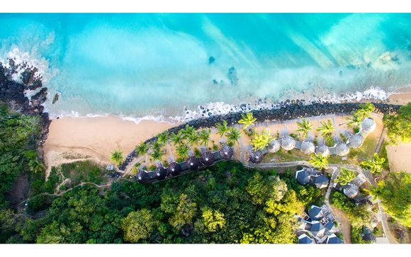 Stay Amidst the Tropical Setting for 'Death in Paradise'