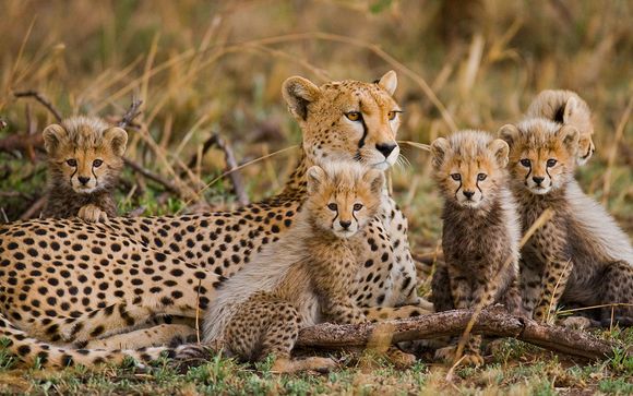 Afrika Pearl & Spa 4* Plus Safaris