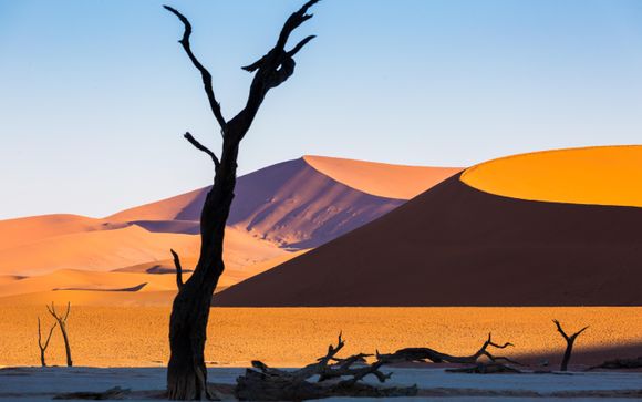 Your 14-Night Itinerary