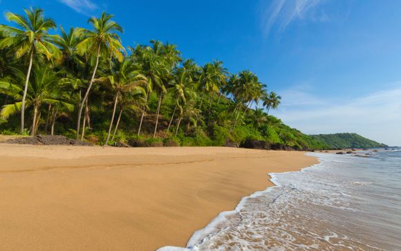 Planet Hollywood Beach Resort 5* with Optional Mumbai Tour Extension