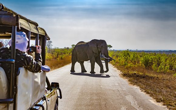Cape Town, Winelands, Johannesburg & Kruger 4*