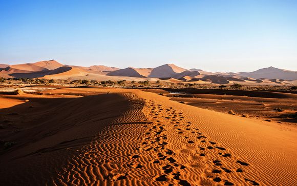 Highlights of Namibia