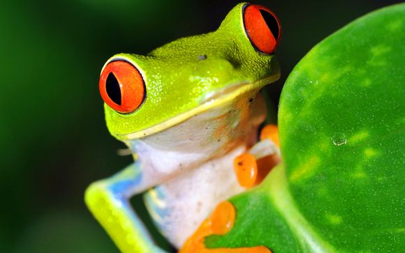 Nature Secrets of Costa Rica