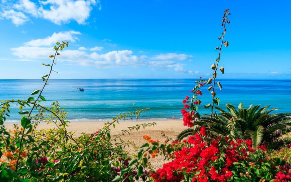 All Inclusive Suites by the Beach