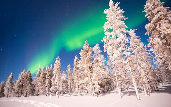 Polar Experiences in Loma Vietnonen