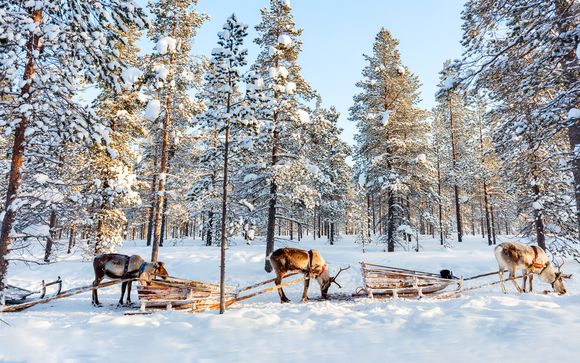 Polar Adventure in Scandinavia - Sweden, Finland & Norway