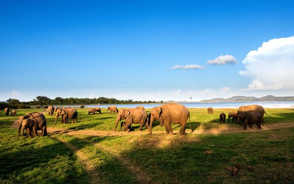 Culture and Nature with Western Beach Stay