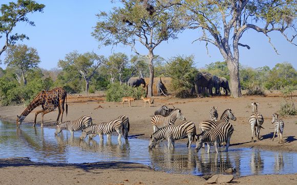 Royal Kruger Lodge 4*