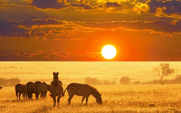 Your 14-Night Itinerary