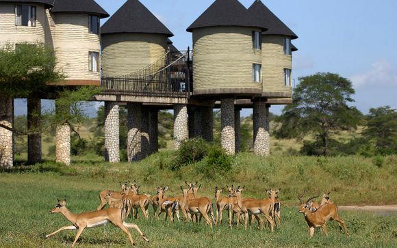 Safari Accommodation