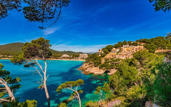 Iberostar Alcudia Park 4*