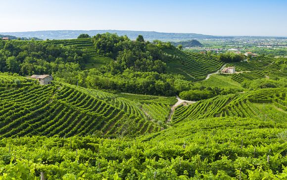 Your 7 Day Itinerary in Brief