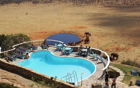 Safari Accommodation