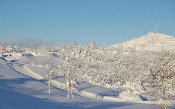 Your Optional Excursions