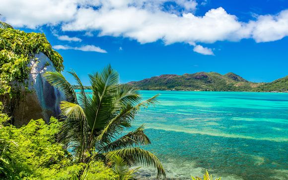 Your Cruise Itinerary