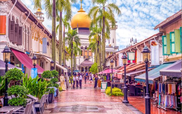 Optional Singapore Extension