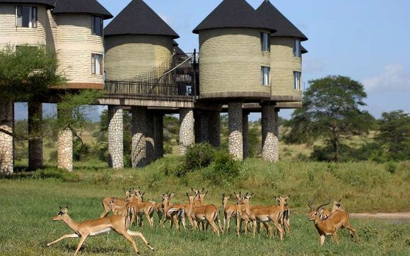 Safari Accommodation