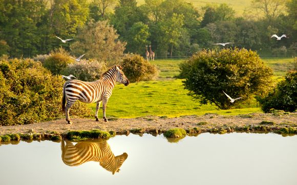 Aspinall Foundation - Port Lympne Hotel 4*