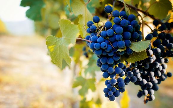 Your 5 Day Itinerary In Brief