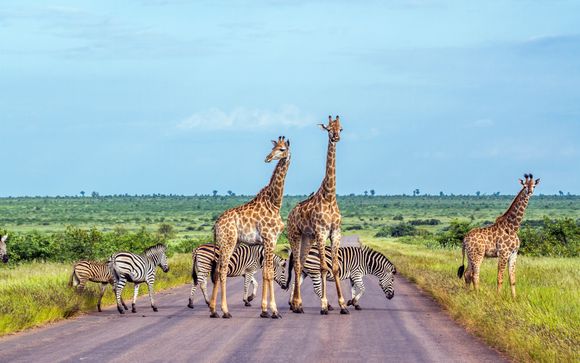 Avventura on the road alla scoperta della savana africana con safari
